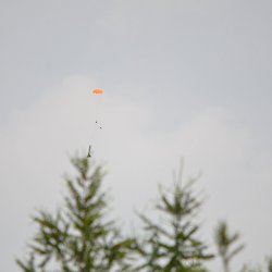 2013 Suche 29062013 Michal